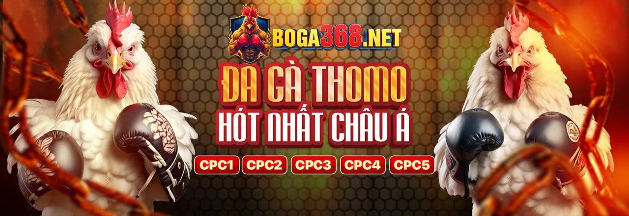 Đá gà trực tuyến Gacam67